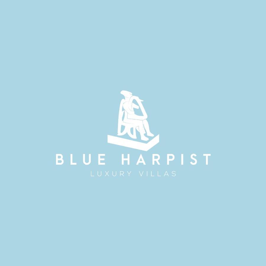 Blue Harpist Villas Koufonisia Zewnętrze zdjęcie